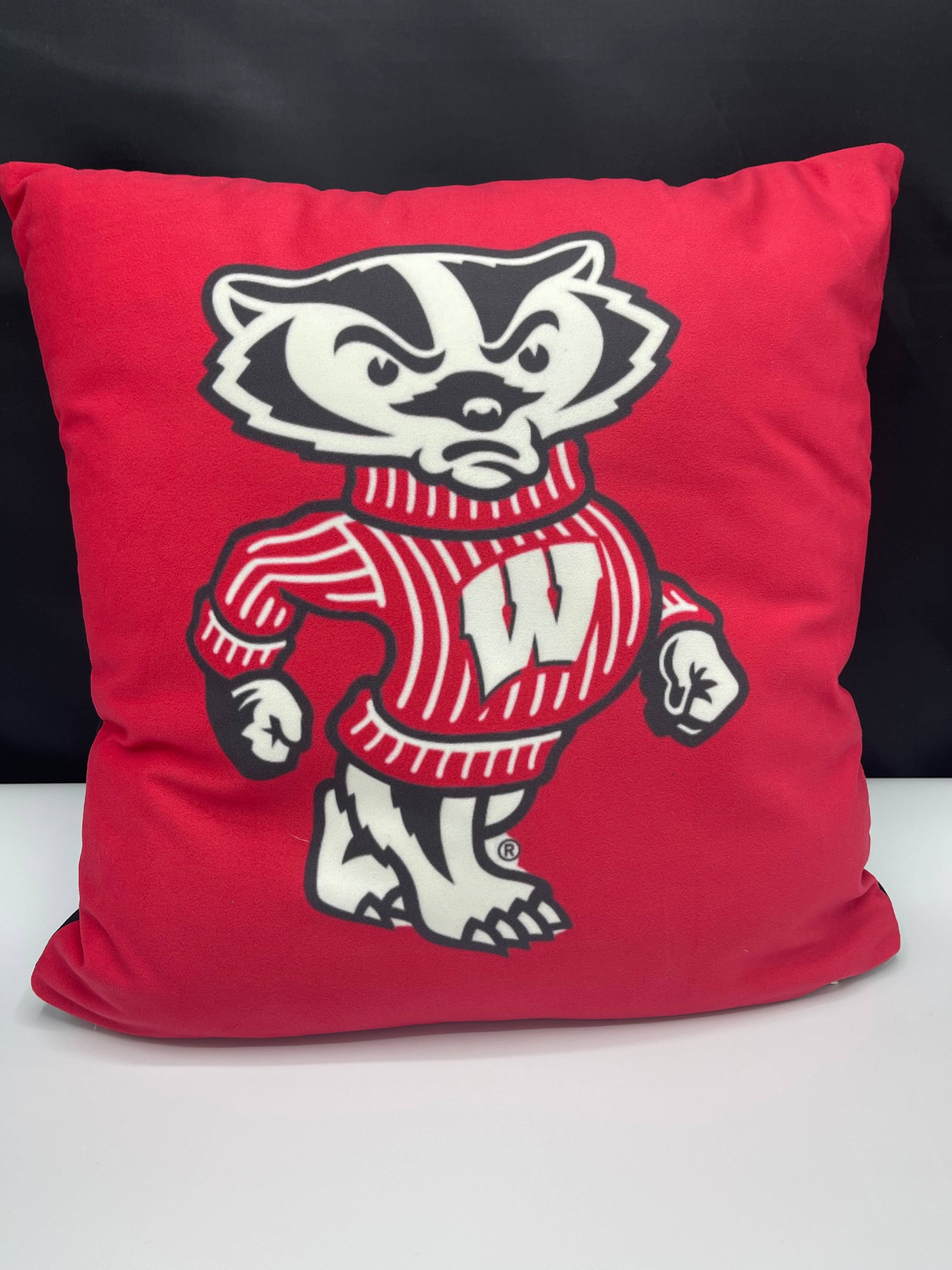 COLLEGE FAUX SUEDE PILLOW - 4 SIZES