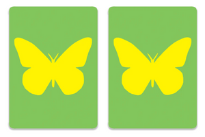 CANASTA PLAYING CARDS