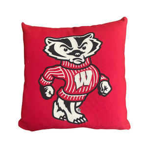COLLEGE PILLOW - 4 SIZES